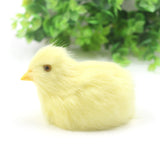 Easter Chick Decoration DIY Craft Kit