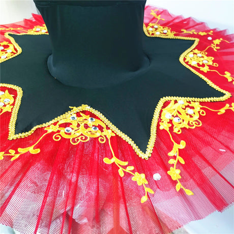 Velvety Top Embroidered Ballet Tutus Kids and Adult Ballerinas