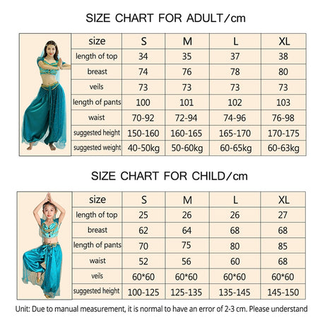 Belly Dance Princess Jasmine Costume Women Girls Bollywood Top Pants Veils Set