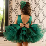 Toddler Baby Girl Christmas Concert Dresses