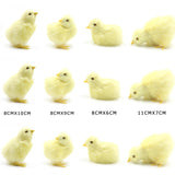 Easter Chick Decoration DIY Craft Kit