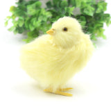Easter Chick Decoration DIY Craft Kit