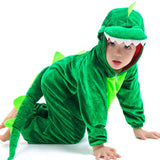 Dinosaur Play Suit