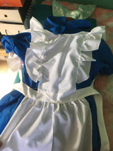 Alice In Wonderland Costume Adult Kids Cosplay