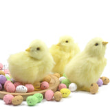 Easter Chick Decoration DIY Craft Kit