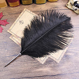 Ostrich Feather Quill Ballpoint Pen 11 Colours