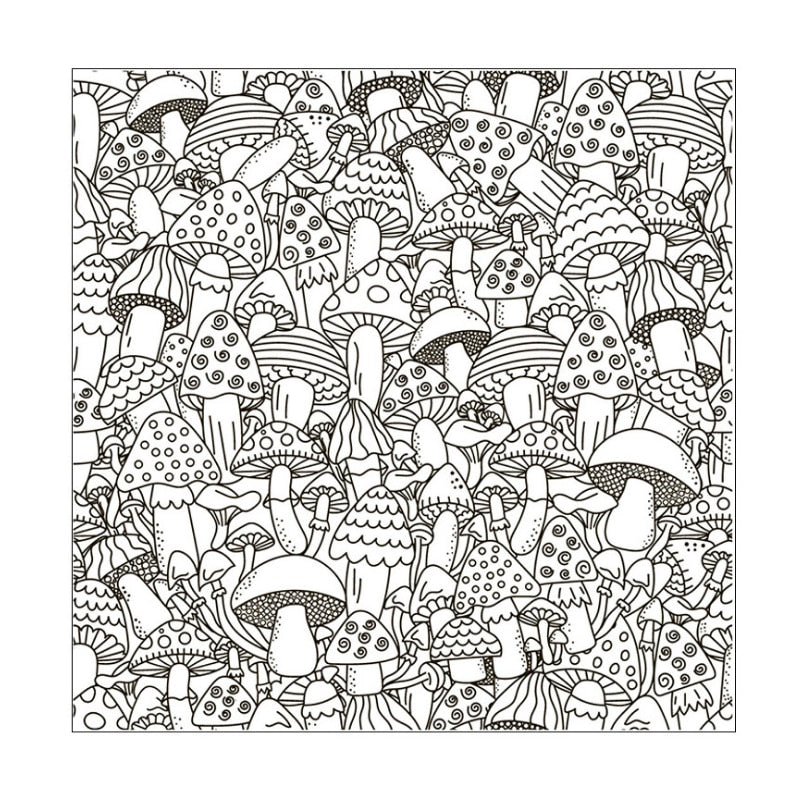 |14:200006151#mashroom|1005002434315664-mashroom