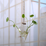 Hanging Vase Planters Glass Flower Plant Terrariums