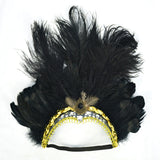 LED Light Carnival Feather Headband Mardi Gras Costume