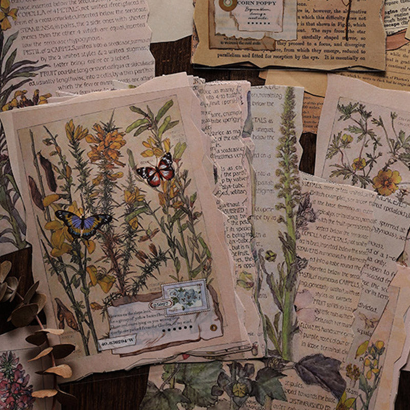 Decorative Crafting Papers Medieval Plant Old Book Pages
