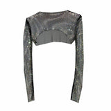 Glittery Net Bolero Top