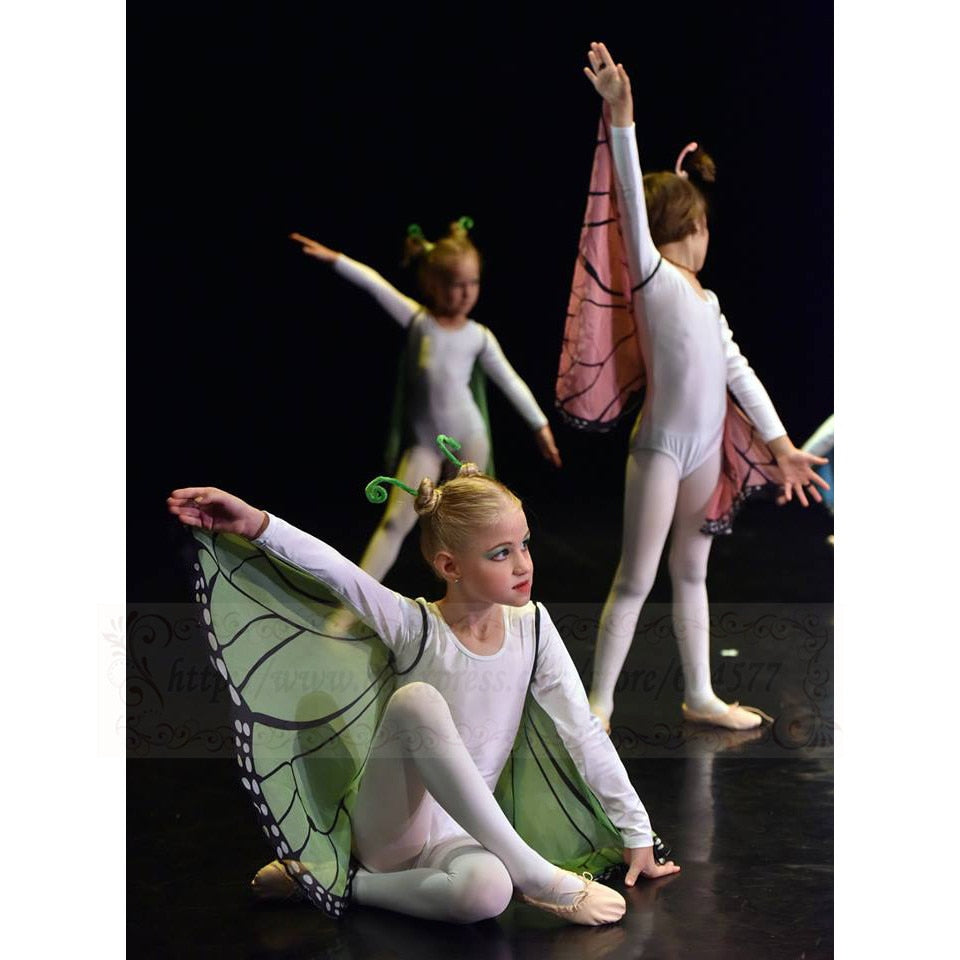 Kids Fairy Butterfly Wings and Masks
