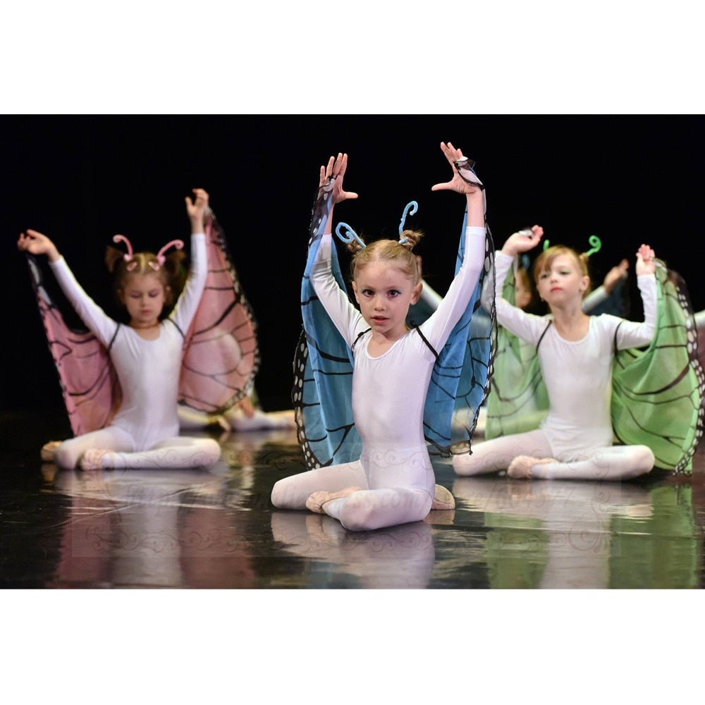 Kids Fairy Butterfly Wings and Masks
