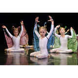 Kids Fairy Butterfly Wings and Masks