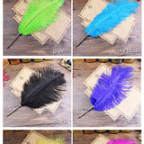 Ostrich Feather Quill Ballpoint Pen 11 Colours