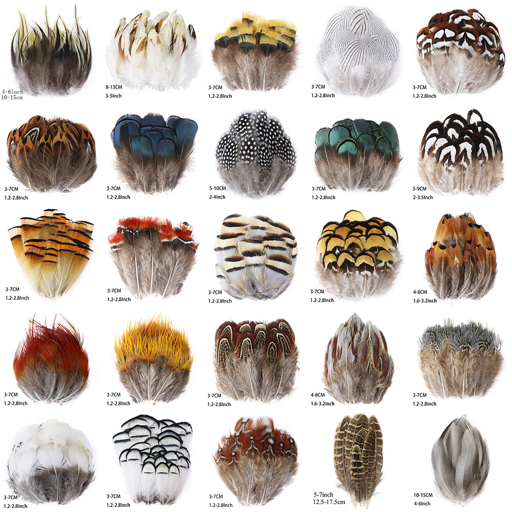 Fifty Mixed Natural Feathers for Crafts, Jewellery Making or Decoration
