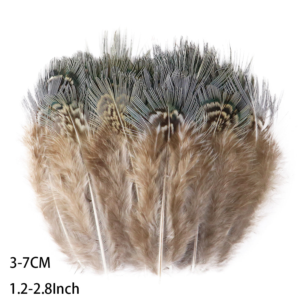 Fifty Mixed Natural Feathers for Crafts, Jewellery Making or Decoration