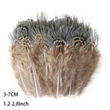 Fifty Mixed Natural Feathers for Crafts, Jewellery Making or Decoration