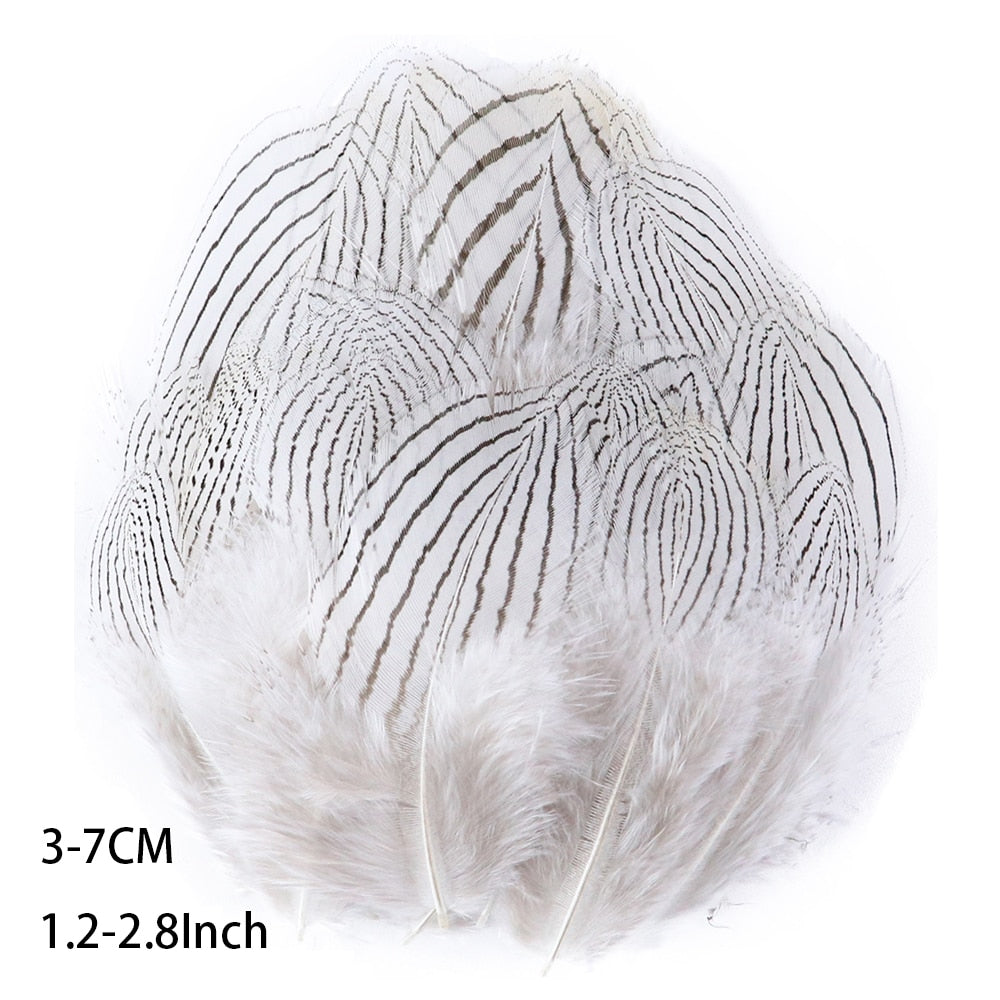 Fifty Mixed Natural Feathers for Crafts, Jewellery Making or Decoration