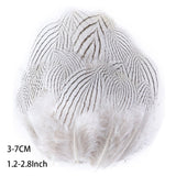 Fifty Mixed Natural Feathers for Crafts, Jewellery Making or Decoration
