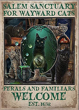 "Into the Forest I Go, To Lose My Mind and Find My Soul" and other Witch Themed Tin Signs