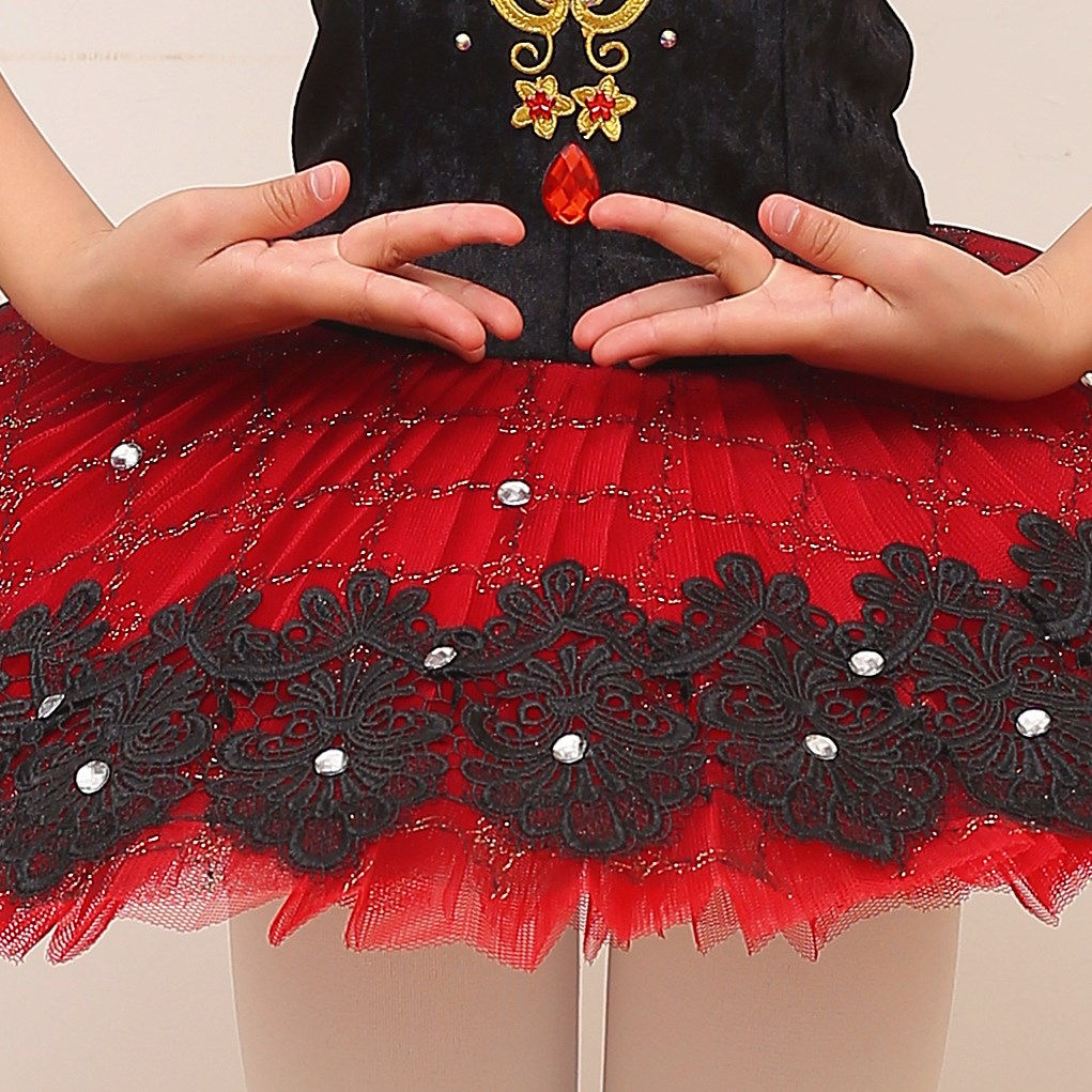 Velvety Top Embroidered Ballet Tutus Kids and Adult Ballerinas