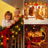 Acorn Fairy Light Twinkle Garlands 20 LED String Lights