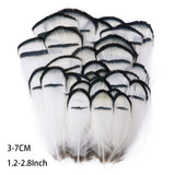 Fifty Mixed Natural Feathers for Crafts, Jewellery Making or Decoration