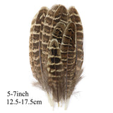 Fifty Mixed Natural Feathers for Crafts, Jewellery Making or Decoration