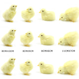 Easter Chick Decoration DIY Craft Kit