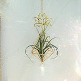 Air Plant Holder Lotus Planter Hanger with Crystal Chain