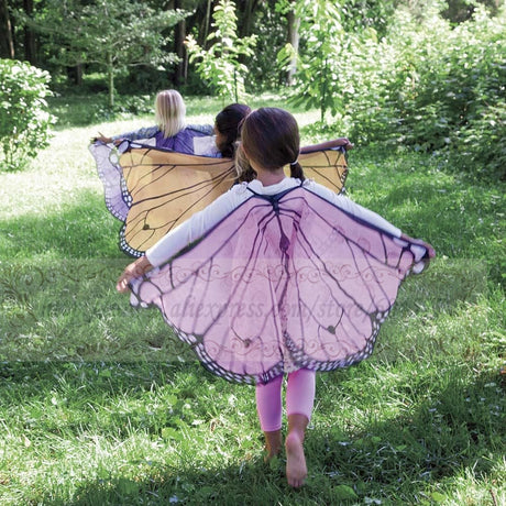 Kids Fairy Butterfly Wings and Masks