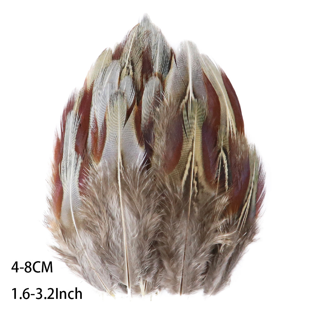 Fifty Mixed Natural Feathers for Crafts, Jewellery Making or Decoration