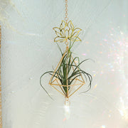 Air Plant Holder Lotus Planter Hanger with Crystal Chain