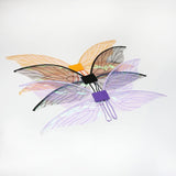 Translucent Fairy Wings