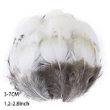 Fifty Mixed Natural Feathers for Crafts, Jewellery Making or Decoration