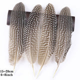 Fifty Mixed Natural Feathers for Crafts, Jewellery Making or Decoration