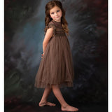 Girls Summer Flower Tulle Lace Dress Photoshoot Dress