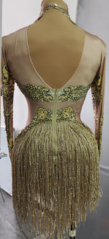 Caritta Sparkly Gold Rhinestones Fringe Leotard Bodysuit Performance Stage Wear