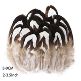 Fifty Mixed Natural Feathers for Crafts, Jewellery Making or Decoration