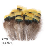 Fifty Mixed Natural Feathers for Crafts, Jewellery Making or Decoration