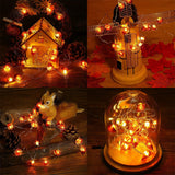Acorn Fairy Light Twinkle Garlands 20 LED String Lights