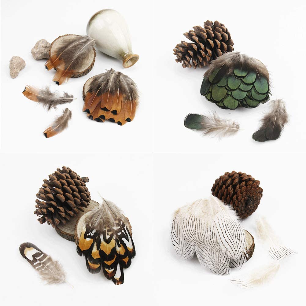 Fifty Mixed Natural Feathers for Crafts, Jewellery Making or Decoration