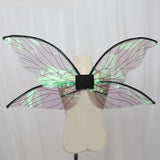 Translucent Fairy Wings