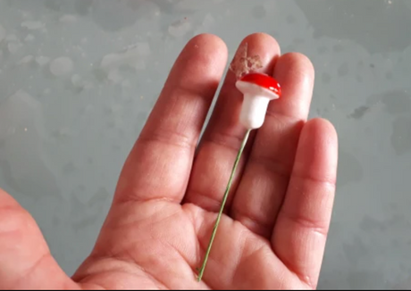 🍄 Ten, Thirty or FIFTY Red Mushroom Picks 🍄