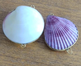 Mermaid Coral's Natural Shell Bag