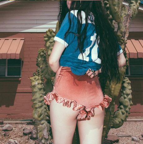 Velvet Short Shorts - Ruffle Trim Mini Shorts