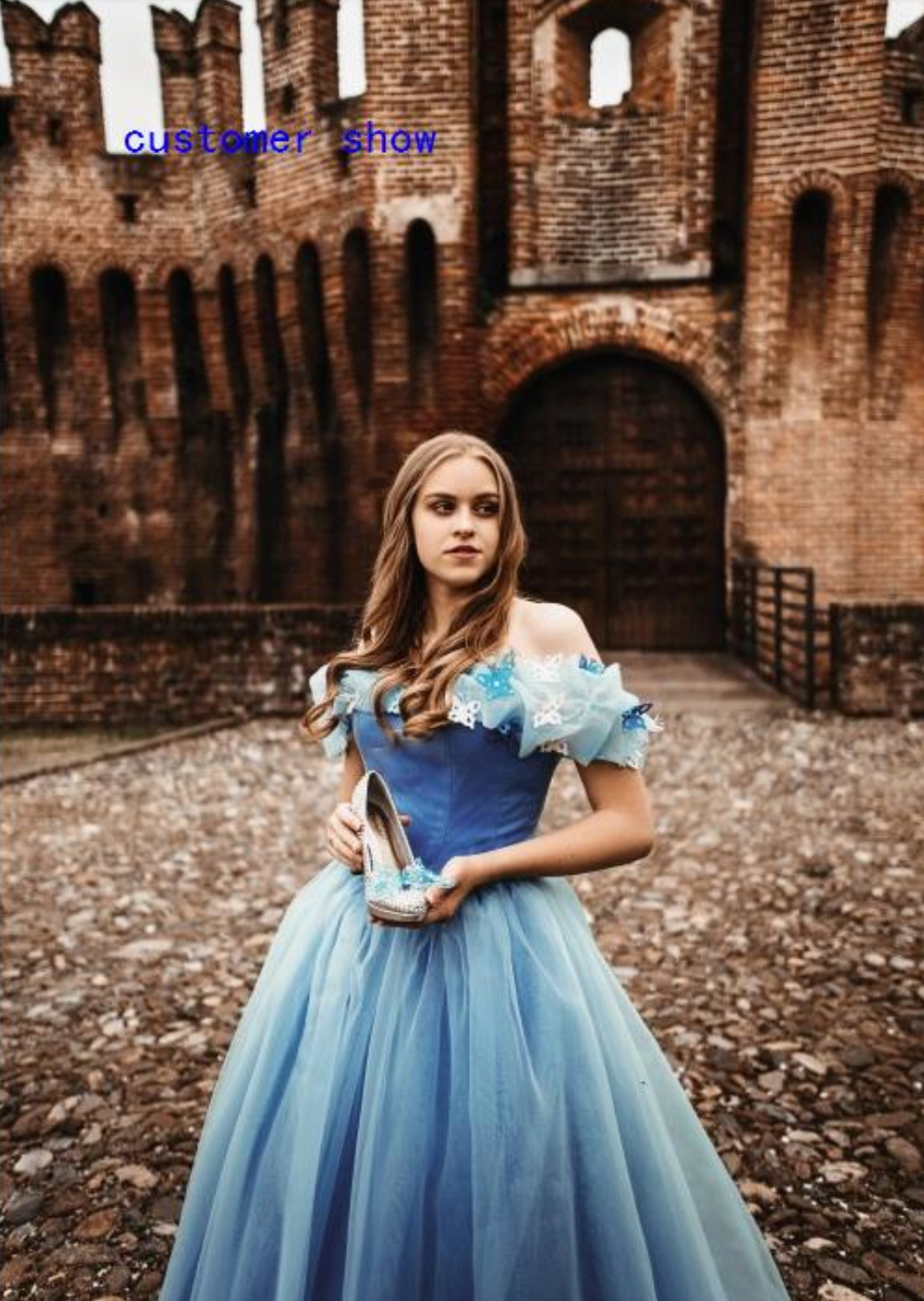 Cinderella Dress Crystals & Butterflies