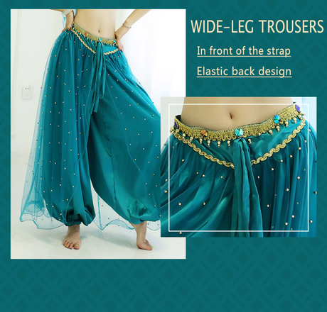 Belly Dance Princess Jasmine Costume Women Girls Bollywood Top Pants Veils Set