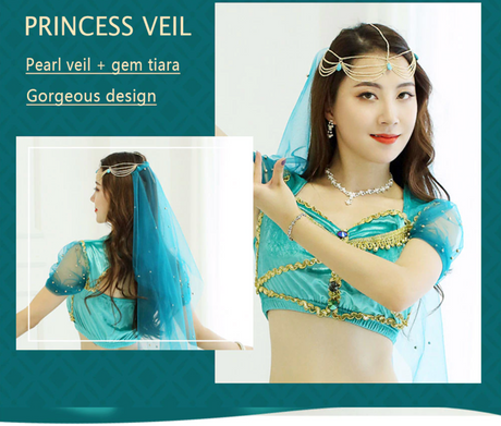 Belly Dance Princess Jasmine Costume Women Girls Bollywood Top Pants Veils Set
